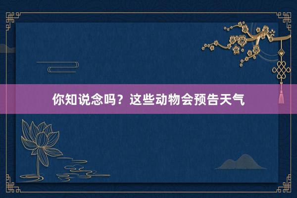 你知说念吗？这些动物会预告天气